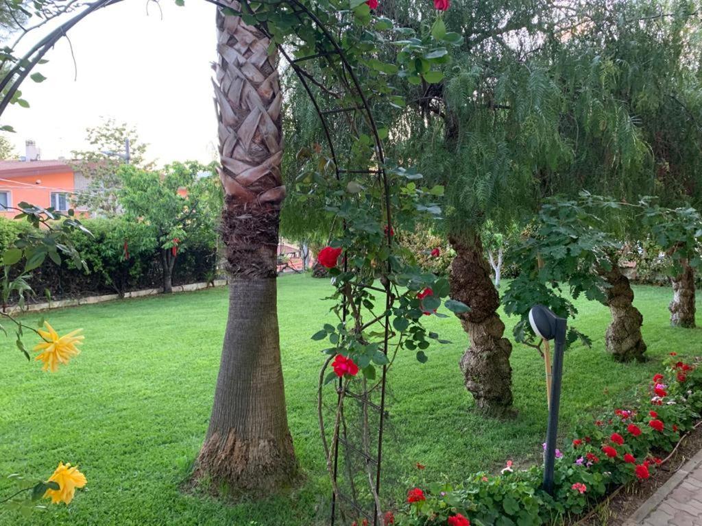 B&B The Garden Pescara Eksteriør bilde