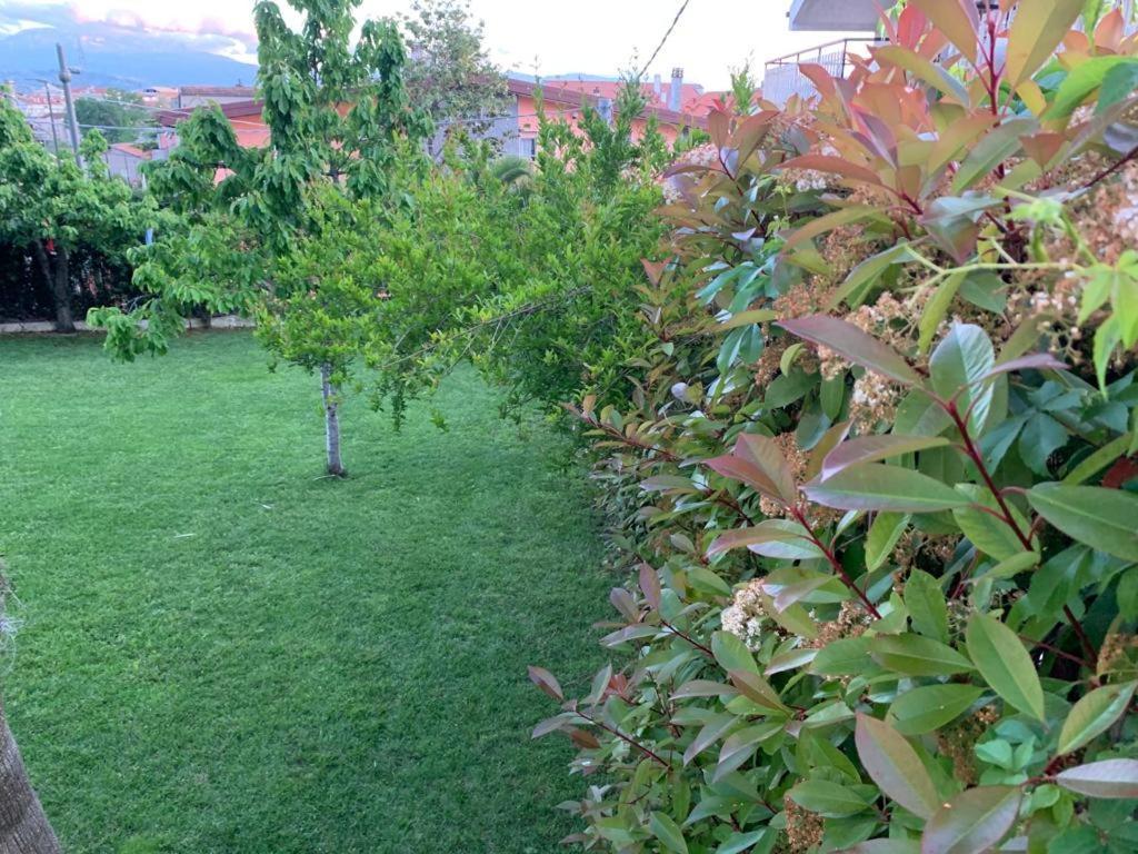 B&B The Garden Pescara Eksteriør bilde